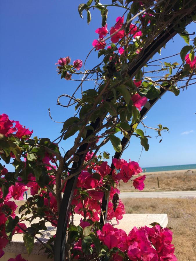 Beach Flat With Garden Castelldefels Esterno foto